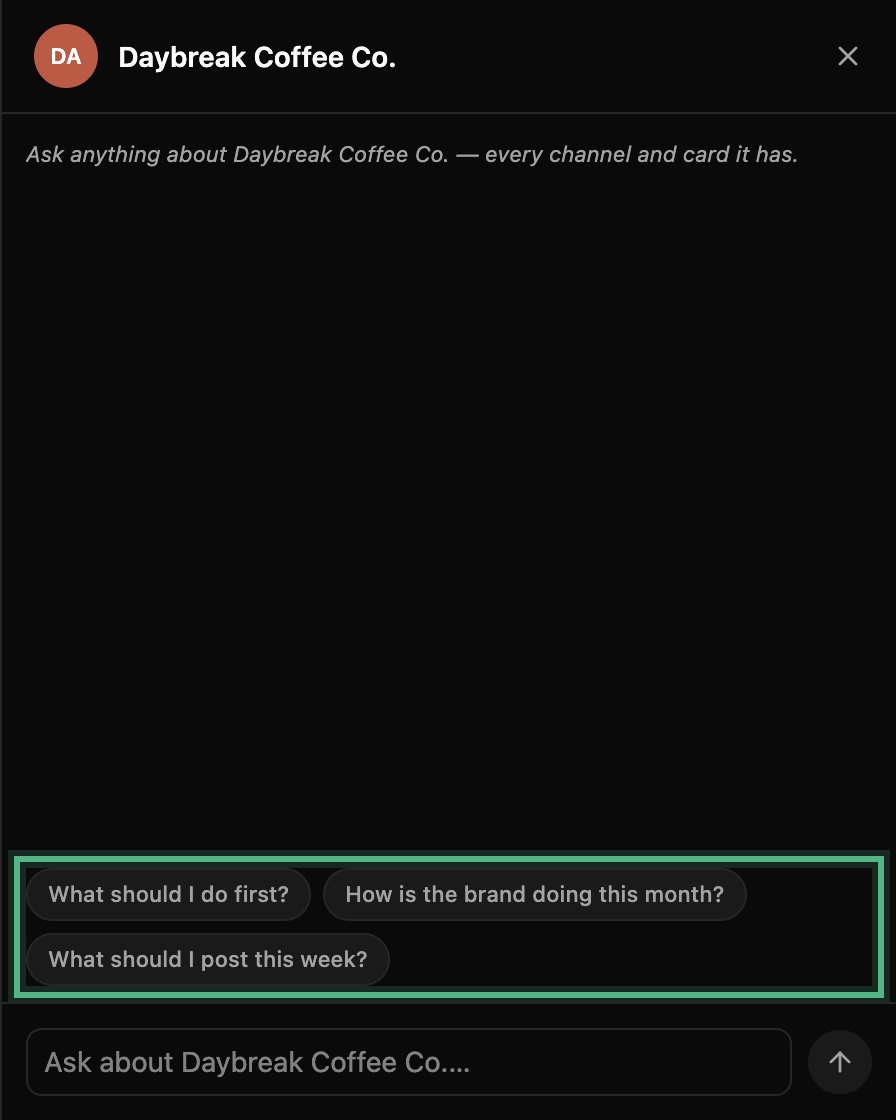 The chat panel for Daybreak Coffee Co., empty, with its starting questions ringed: what should I do first, how is the brand doing this month, which campaign needs attention