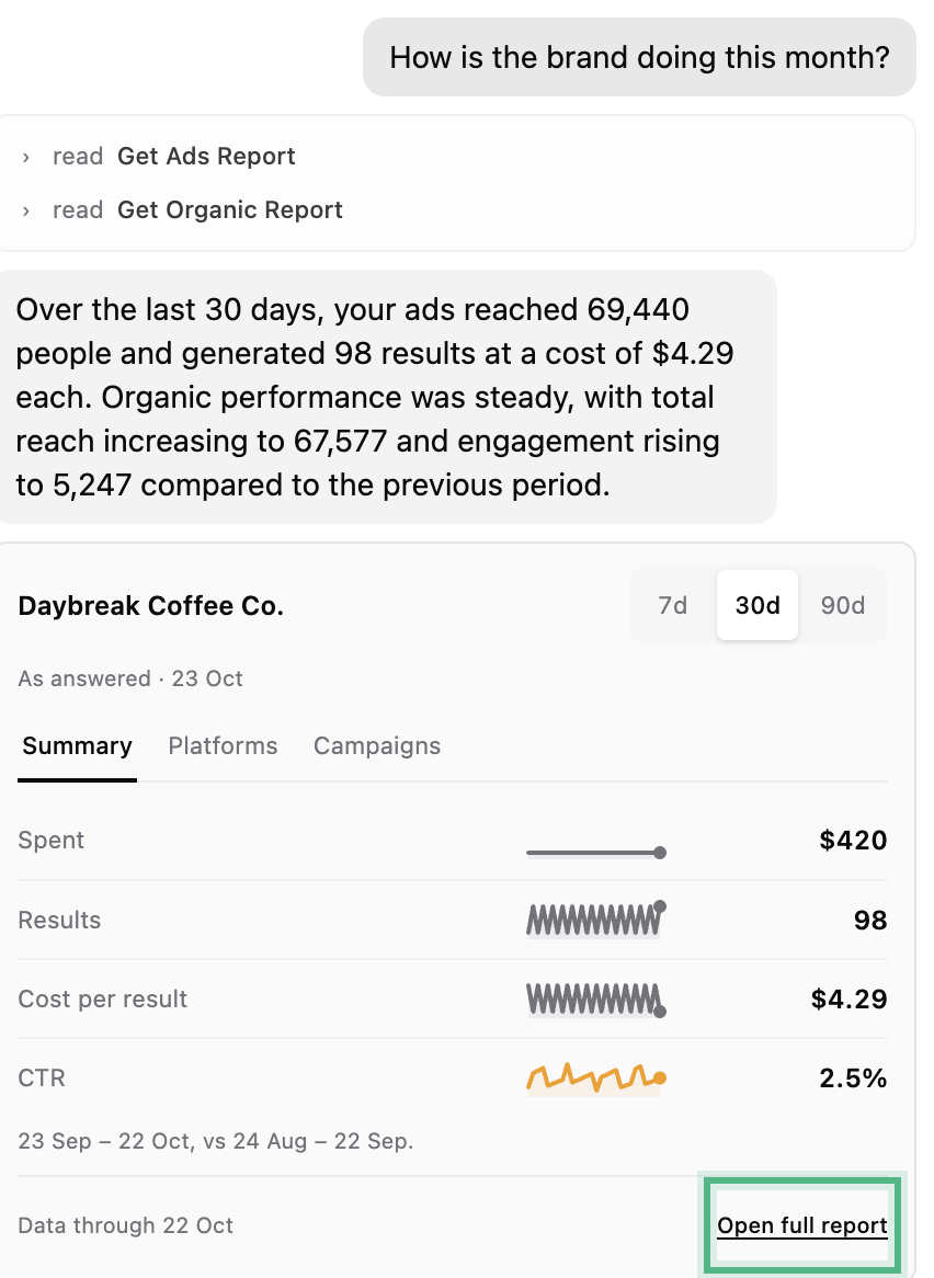 The answer to how is the brand doing this month: the reports it read, a short answer, and a small report of spend, results and cost per result, ringed