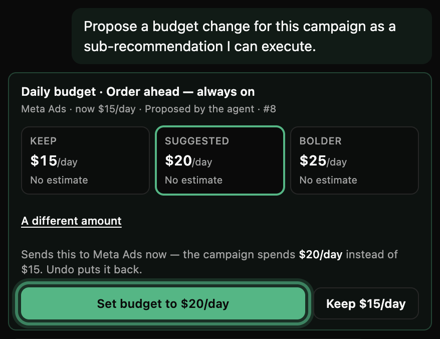 The chat opened from a budget card: keep, suggested and bolder daily budgets, with the Set budget to button ringed