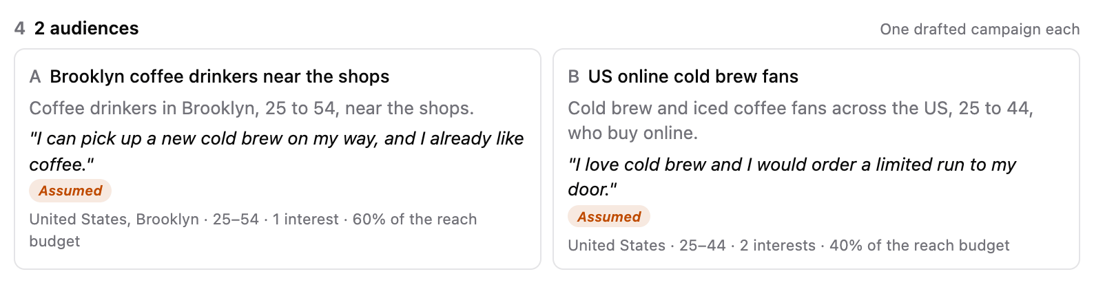 The audiences section: Brooklyn coffee drinkers near the shops and US online cold brew fans, each with who they are, why they’d buy, an Assumed label and its share of the budget