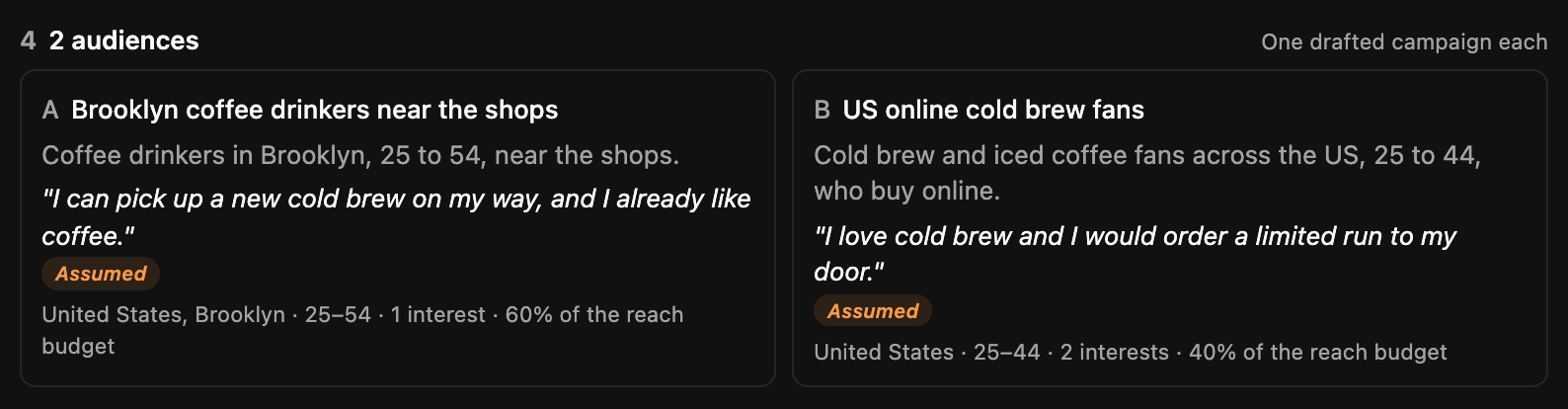 The audiences section: Brooklyn coffee drinkers near the shops and US online cold brew fans, each with who they are, why they’d buy, an Assumed label and its share of the budget